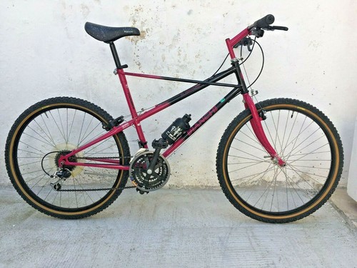 Nos bianchi ragno thomisus - nos,