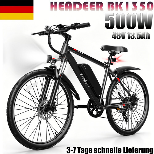 Biciclette elettriche zoll - biciclette, 26