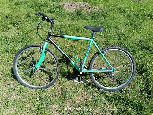 Bicicletta mountain bike - mountain,