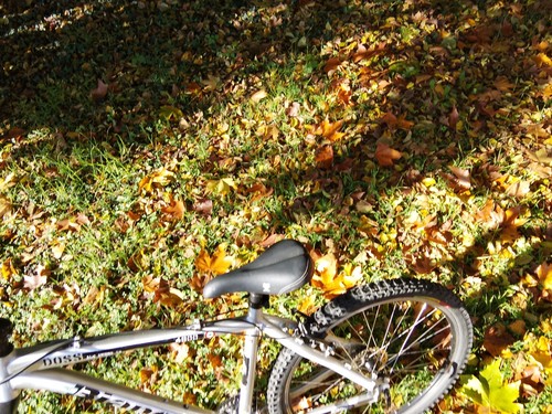 Bicicletta mountain bike - bicicletta,